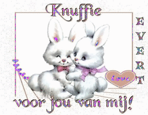 Naamanimaties Evert 