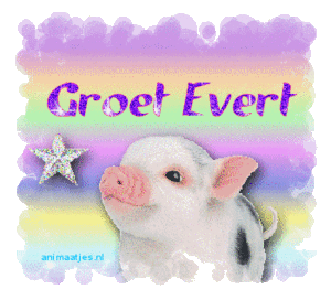 Naamanimaties Evert 