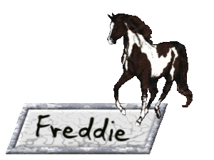 Naamanimaties Freddie 