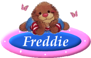 Naamanimaties Freddie 