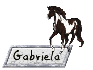 Naamanimaties Gabriela 