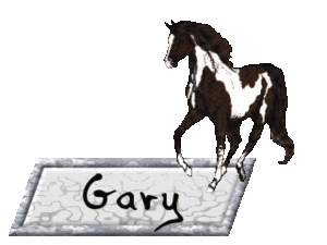Naamanimaties Gary Paard Zwart Wit Gary