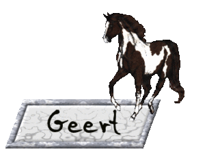 Naamanimaties Geert 