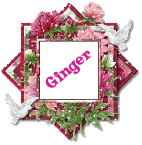 Ginger Naamanimaties 