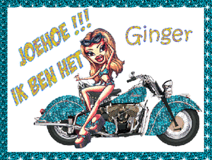 Ginger Naamanimaties 