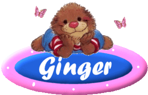 Ginger Naamanimaties 