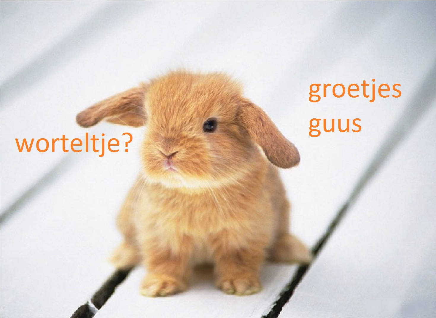 Naamanimaties Guus 