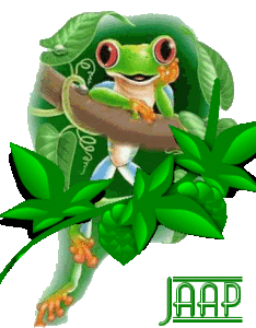 Jaap Naamanimaties 