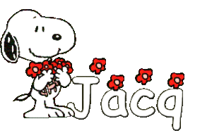 Naamanimaties Jacq Jacq Snoopy Bloemen