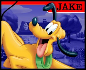 Naamanimaties Jake 