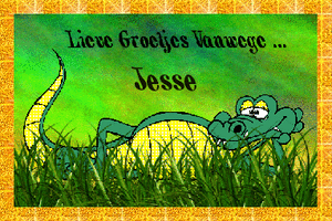 Naamanimaties Jesse 