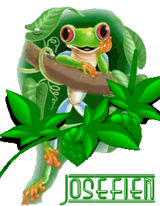 Naamanimaties Josefien 