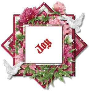 Naamanimaties Joy 