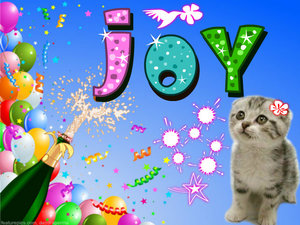 Naamanimaties Joy 