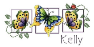 Naamanimaties Kelly Kelly Met Vlinders