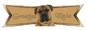 Naamanimaties Kinie 