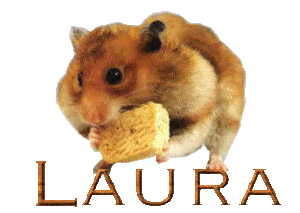 Naamanimaties Laura 