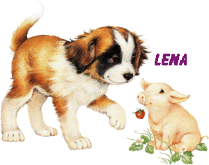 Naamanimaties Lena 