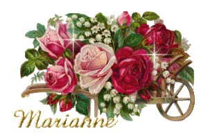 Naamanimaties Marianne 