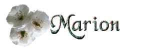 Naamanimaties Marion 