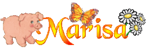 Naamanimaties Marisa 