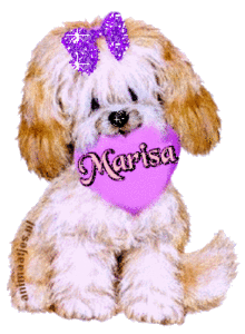 Naamanimaties Marisa 