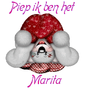 Naamanimaties Marita 
