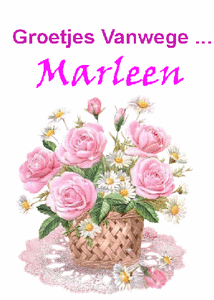 Naamanimaties Marleen 