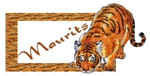 Naamanimaties Maurits 