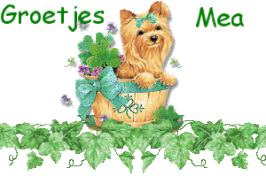 Naamanimaties Mea 
