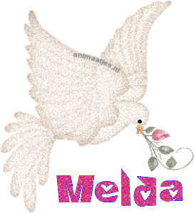 Naamanimaties Melda 