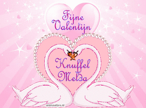 Naamanimaties Melda 