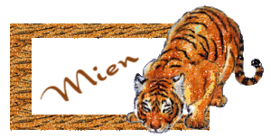 Naamanimaties Mien 