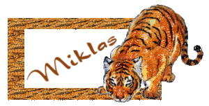 Naamanimaties Miklas 