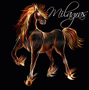 Naamanimaties Milagras 