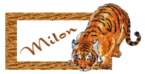 Naamanimaties Milon 