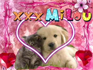 Naamanimaties Milou 