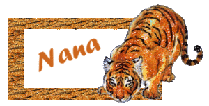 Nana Naamanimaties 