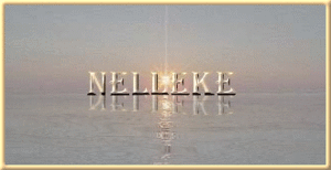 Naamanimaties Nelleke 
