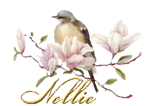 Naamanimaties Nellie 