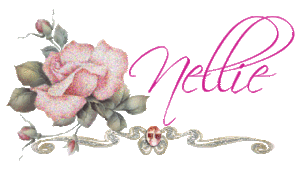 Naamanimaties Nellie 