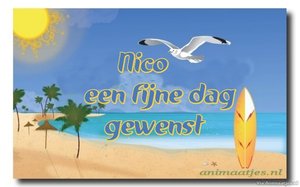 Naamanimaties Nico 