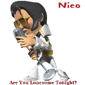 Naamanimaties Nico Nico Elvis Zingen