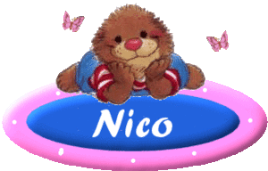 Naamanimaties Nico 
