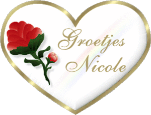 Naamanimaties Nicole 