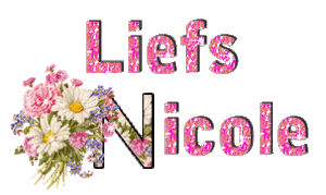 Naamanimaties Nicole 