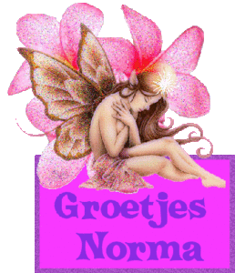 Naamanimaties Norma 