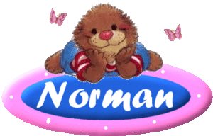 Naamanimaties Norman 
