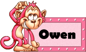 Naamanimaties Owen 