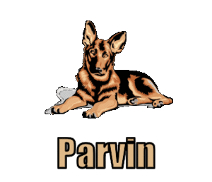 Naamanimaties Parvin 